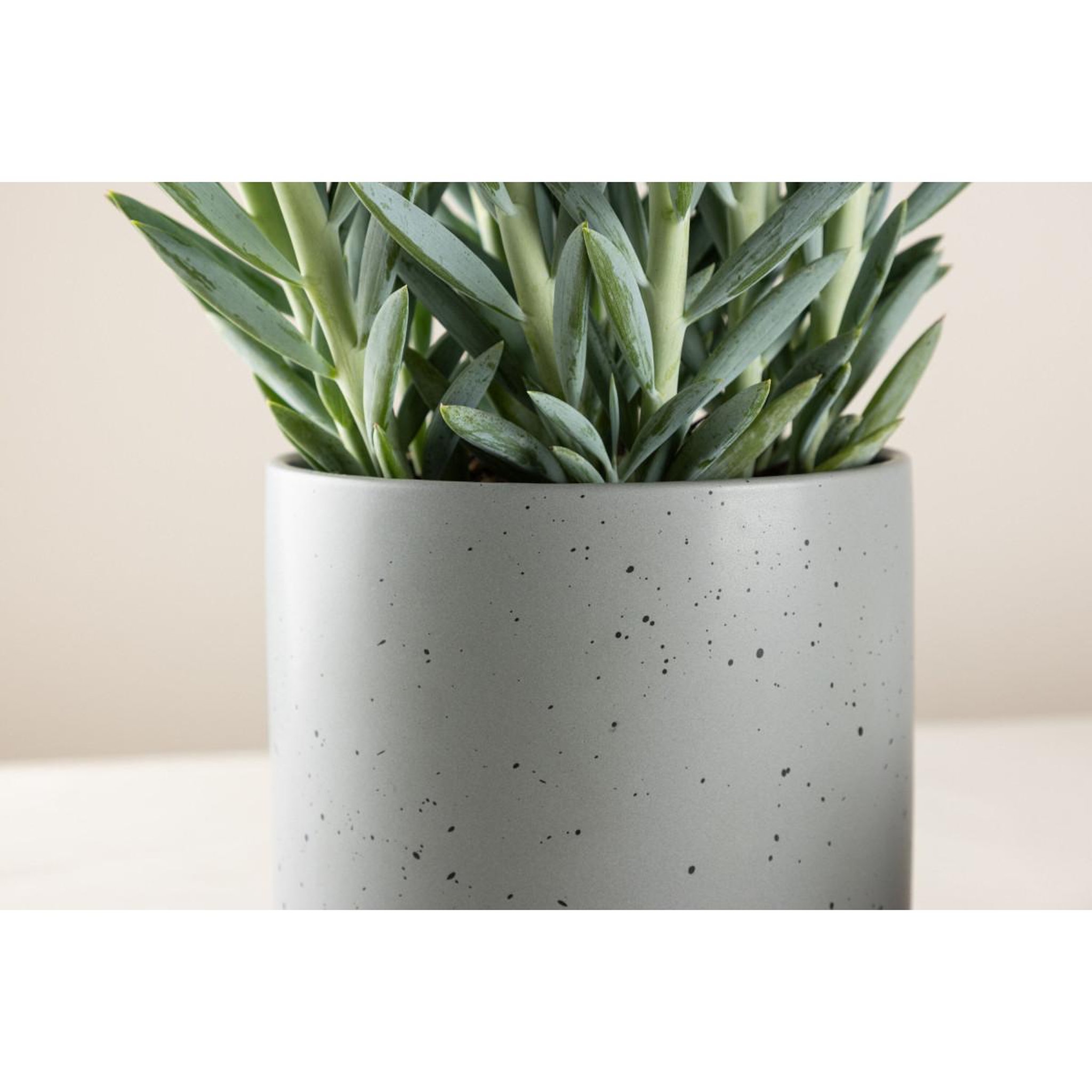 Voir la diapositive 3 : Paris Prix Pot Déco en Céramique  Sane  18cm Gris Foncé