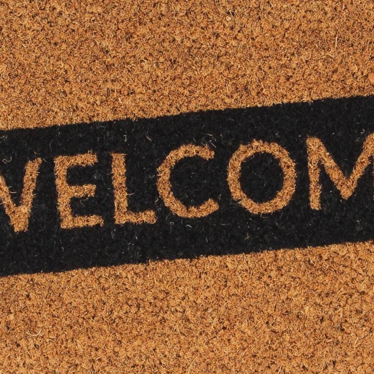 VIDAXL Tapis de porte naturel 45x75 cm fibre de coco touffete