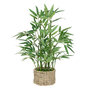 Voir la diapositive 1 : ATMOSPHERA Bambou Artificiel en Pot  Ly  46cm Naturel