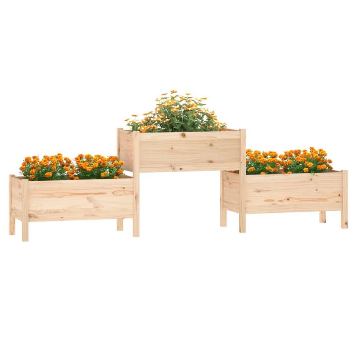 VIDAXL Jardiniere 245,5x44x75 cm Bois massif de pin