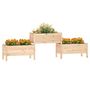 Voir la diapositive 3 : VIDAXL Jardiniere 245,5x44x75 cm Bois massif de pin