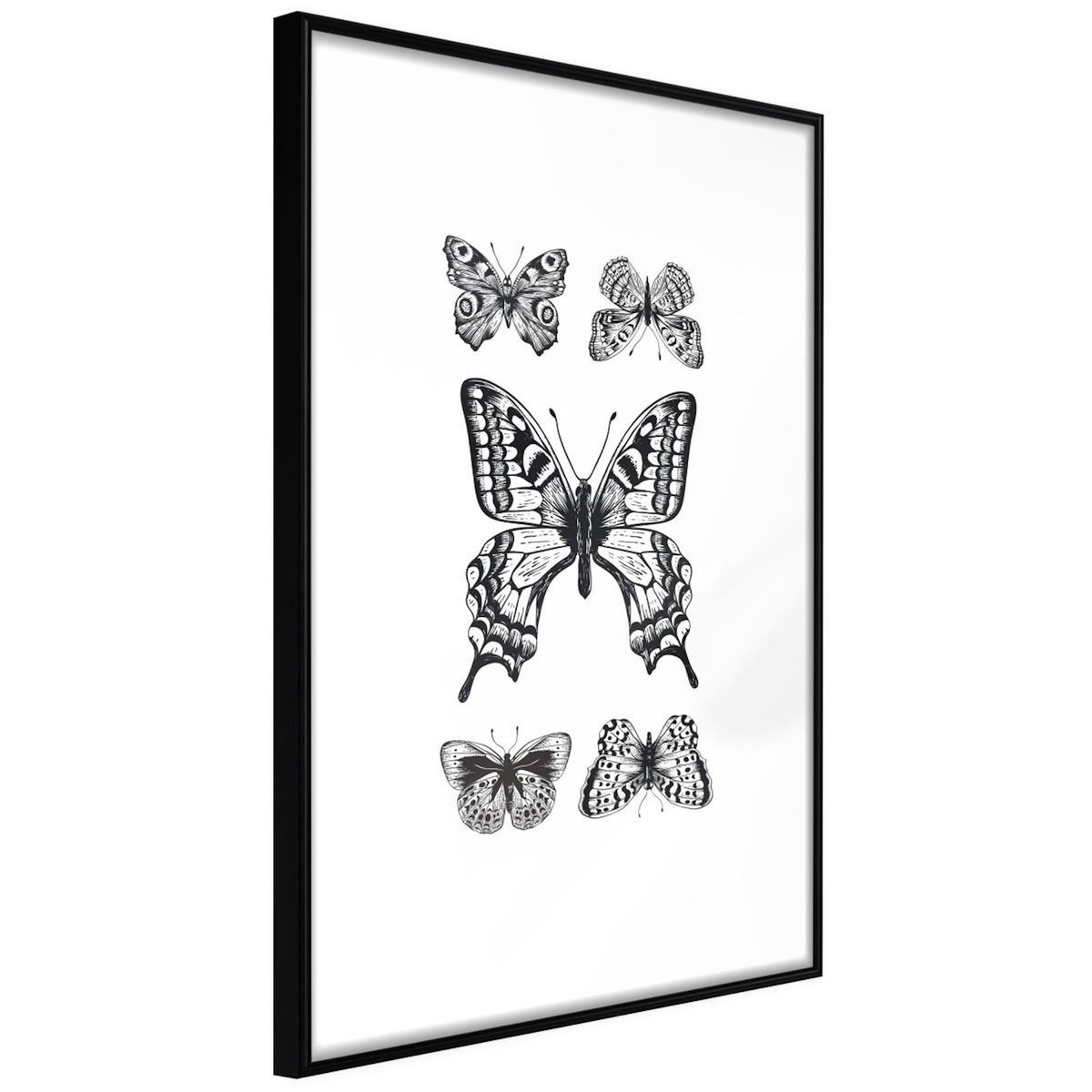 Paris Prix Affiche Murale Encadrée  Butterfly Collection IV