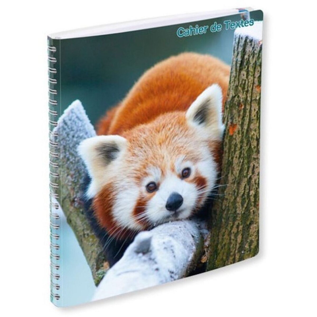 Cahier de texte 17x22cm 148 pages à spirale Animaux sauvages panda roux