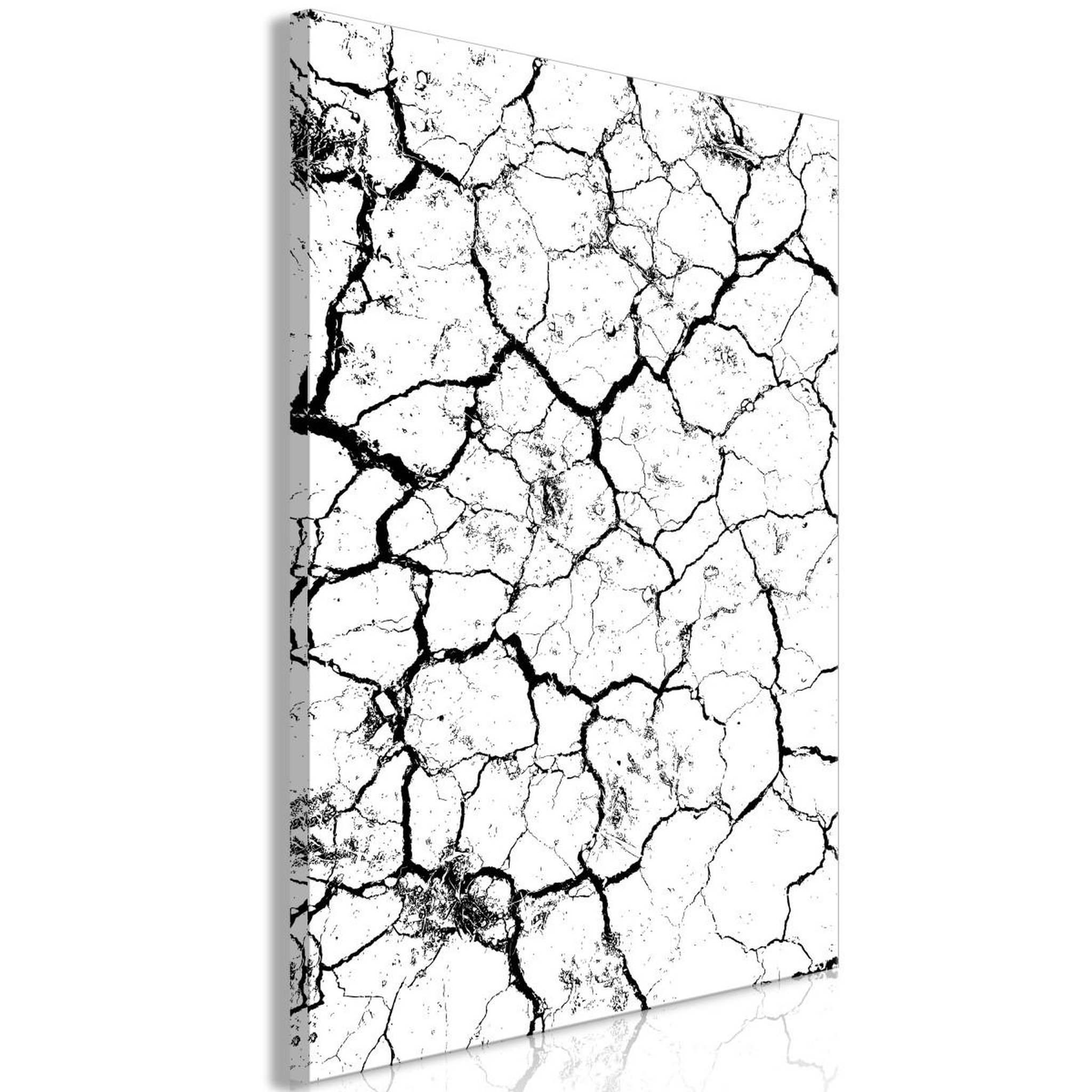 Voir la diapositive 1 : Paris Prix Tableau imprimé  cracked earth