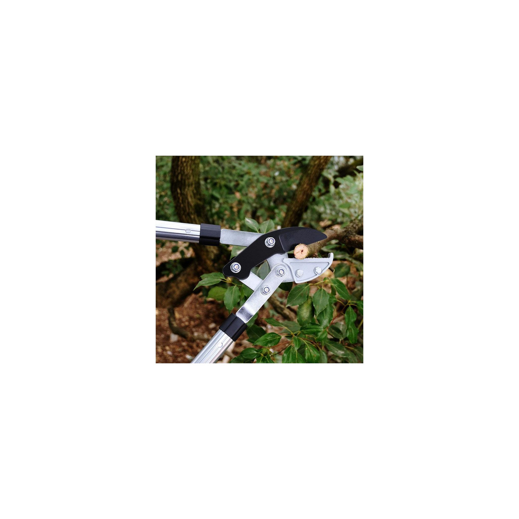Voir la diapositive 4 : SUAN Coupe branche lame enclume - Suan - Manche télescopique - Dimensions : 87 x 34 cm