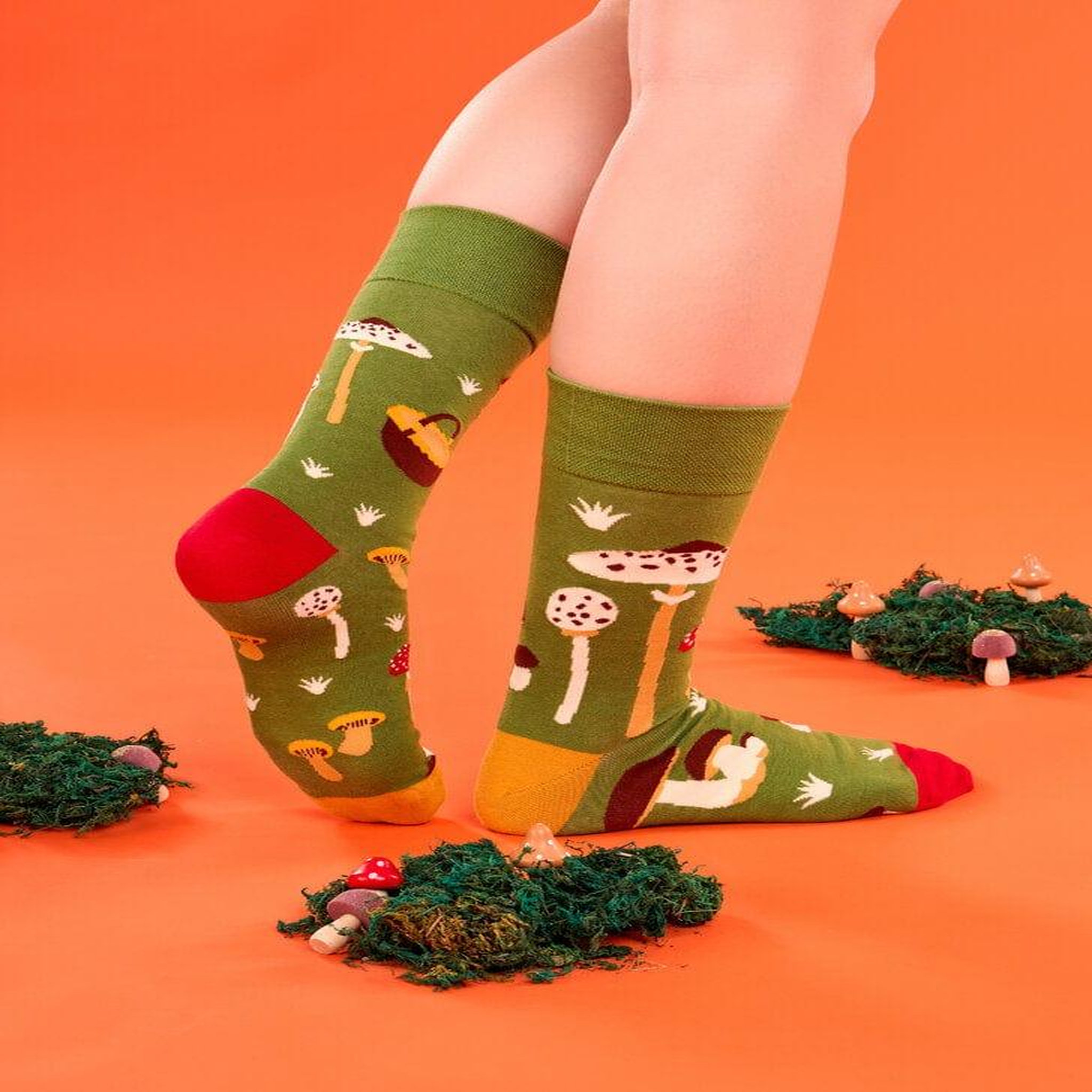 Voir la diapositive 5 : DEDOLES Chaussettes cueillette des champignons