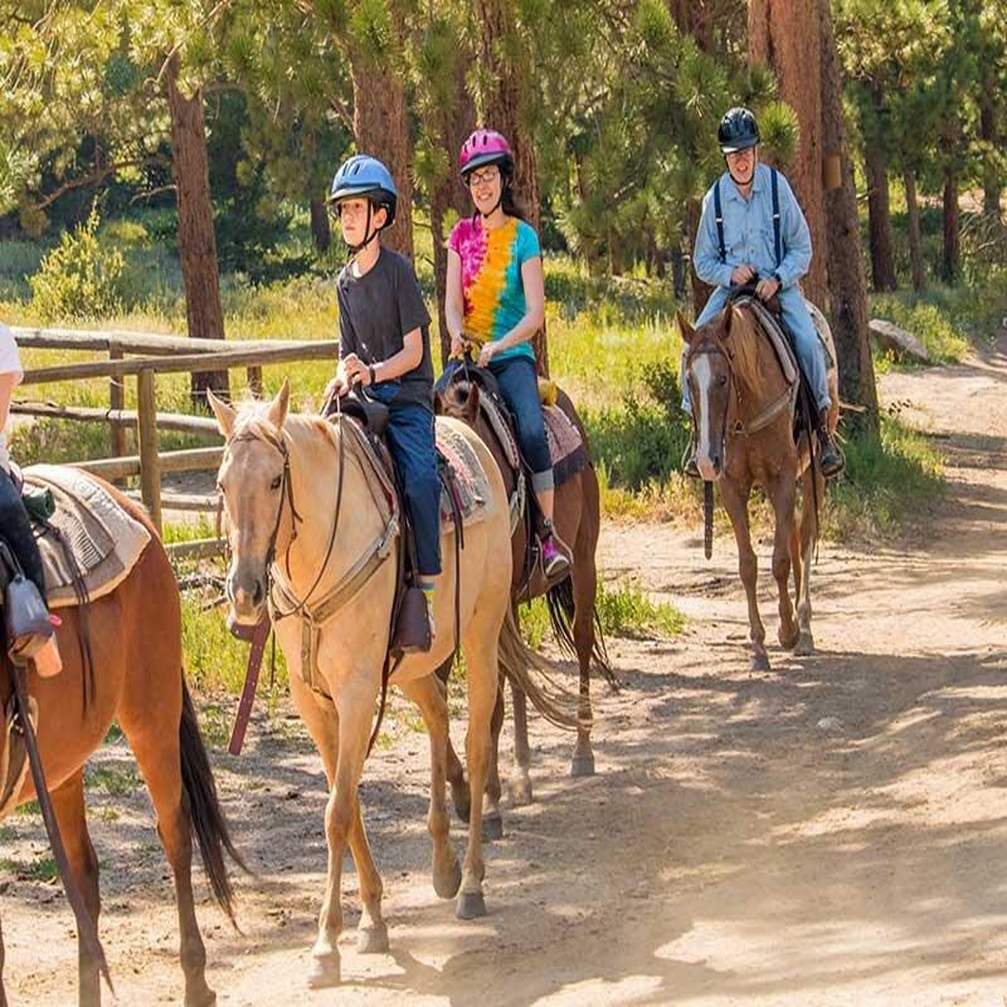 Voir la diapositive 4 : Smartbox Activité plein air découverte en france - coffret cadeau sport & aventure