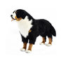 Voir la diapositive 1 : Hansa Hansa peluche Geante Bouvier Bernois 4 Pattes 125 cm L