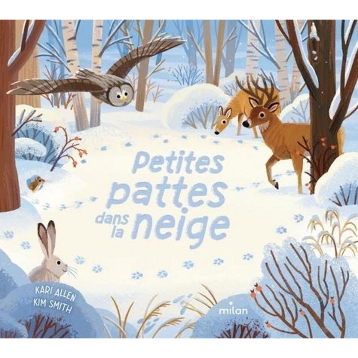 PETITES PATTES DANS LA NEIGE, Allen Kari