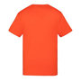 Voir la diapositive 2 : Schott T Shirt  Garçon Schott RODE