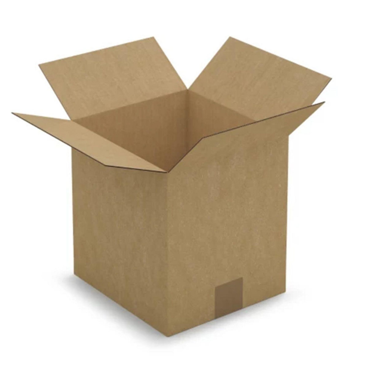 RAJA 5 cartons d'emballage 23 x 21 x 24 cm - Simple cannelure