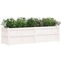 Voir la diapositive 4 : VIDAXL Jardiniere blanc 180x50x50 cm bois de pin massif