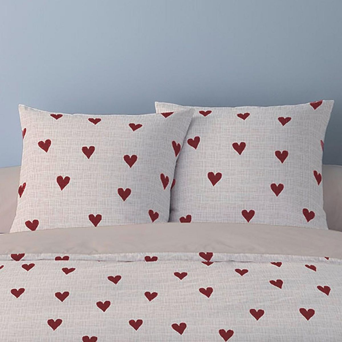 Dourev Housse de couette 240x220 + 2 taies flanelle 100% coton