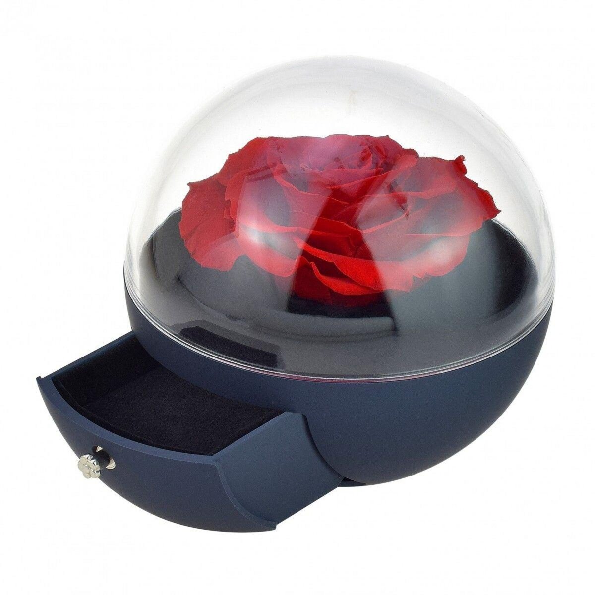 SC CRYSTAL Boite à bijoux décorée d'une rose éternelle - stabilisée rouge sous globe