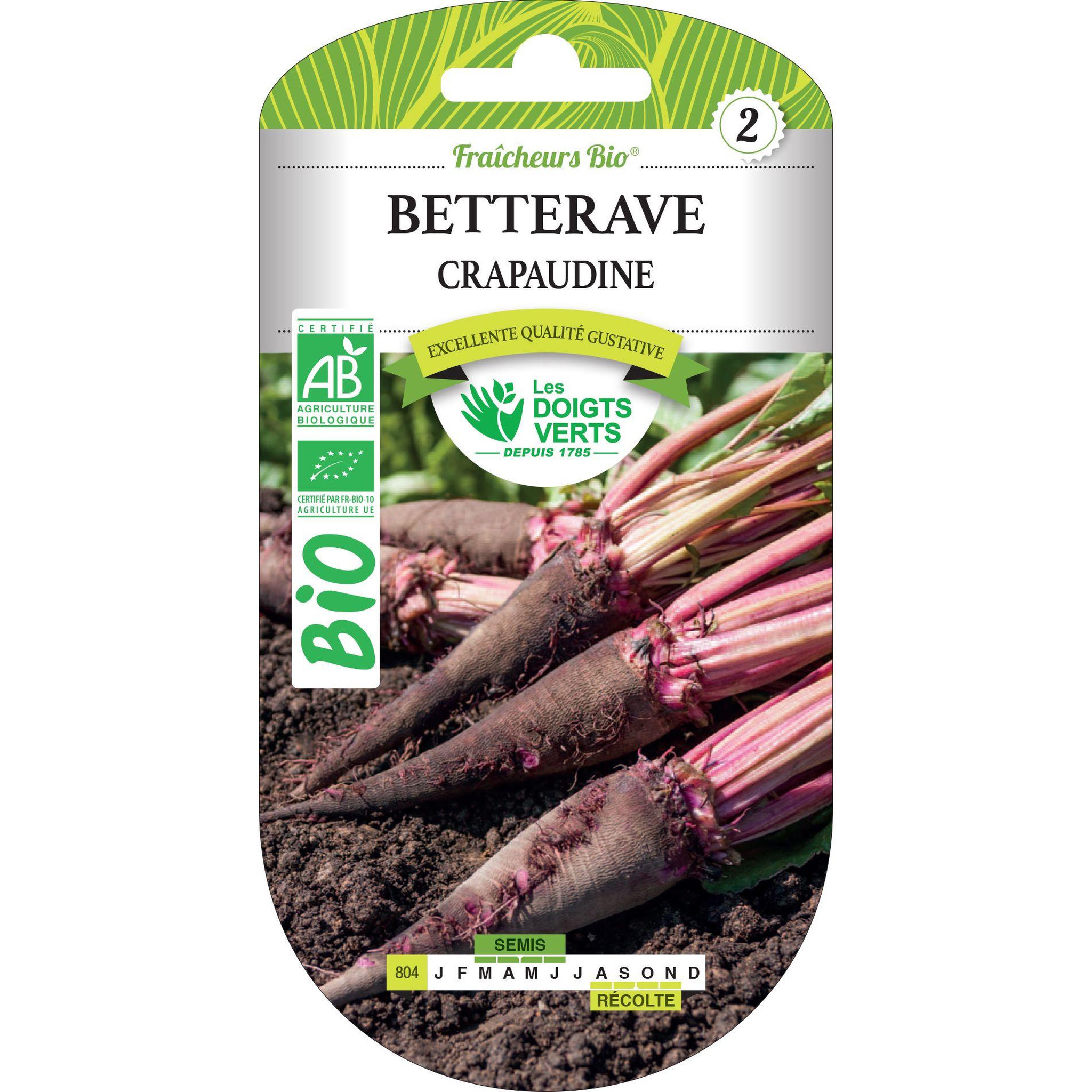LES DOIGTS VERTS Graines Betterave Crapaudine BIO Les Doigts Verts