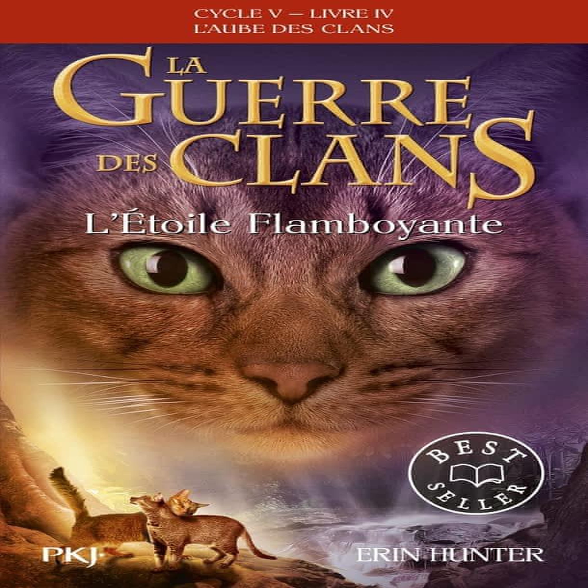 LA GUERRE DES CLANS : L'AUBE DES CLANS (CYCLE V) TOME 4 : L'ETOILE FLAMBOYANTE, Hunter Erin