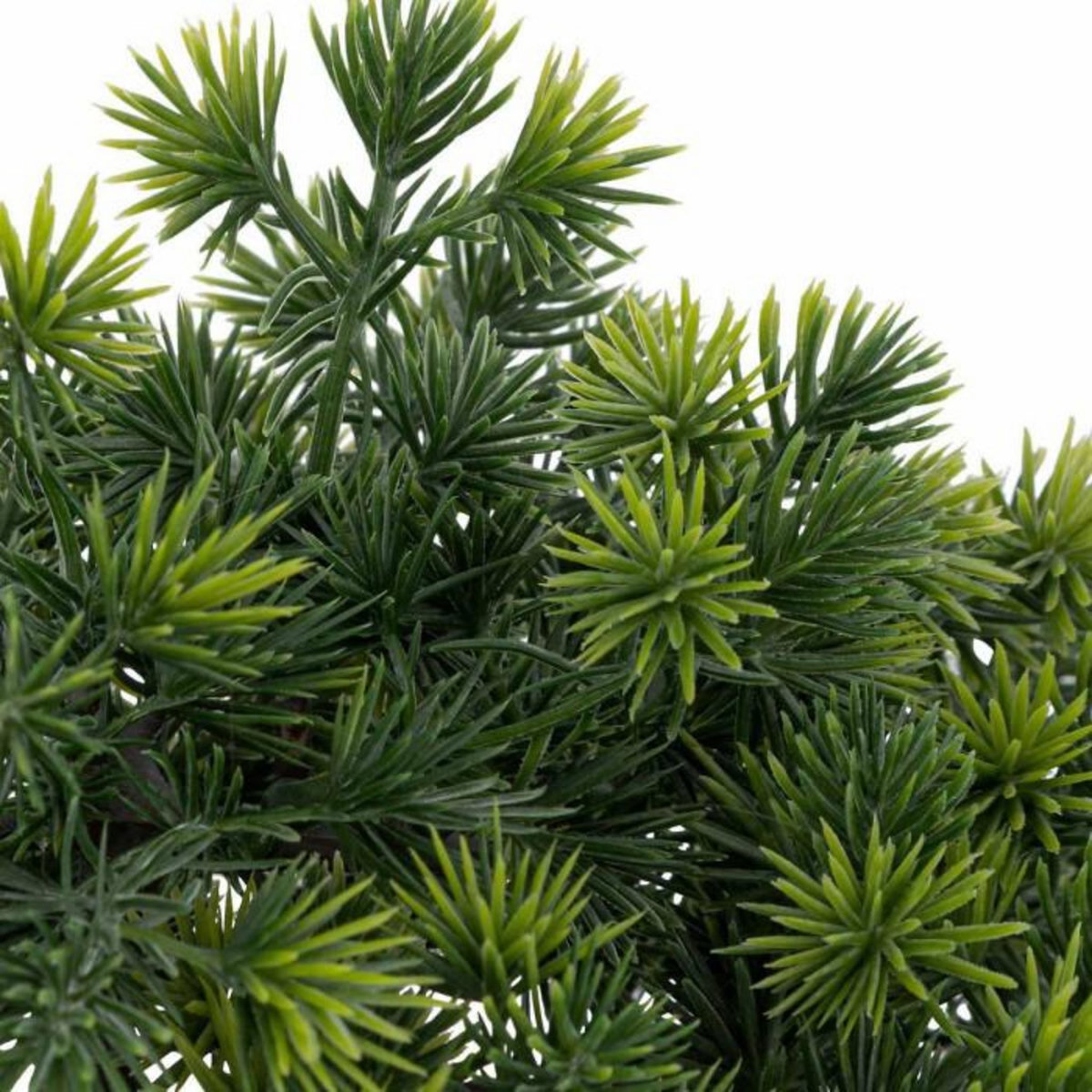 ATMOSPHERA Bonsaï Artificiel en Pot  Jiling  26cm Bleu