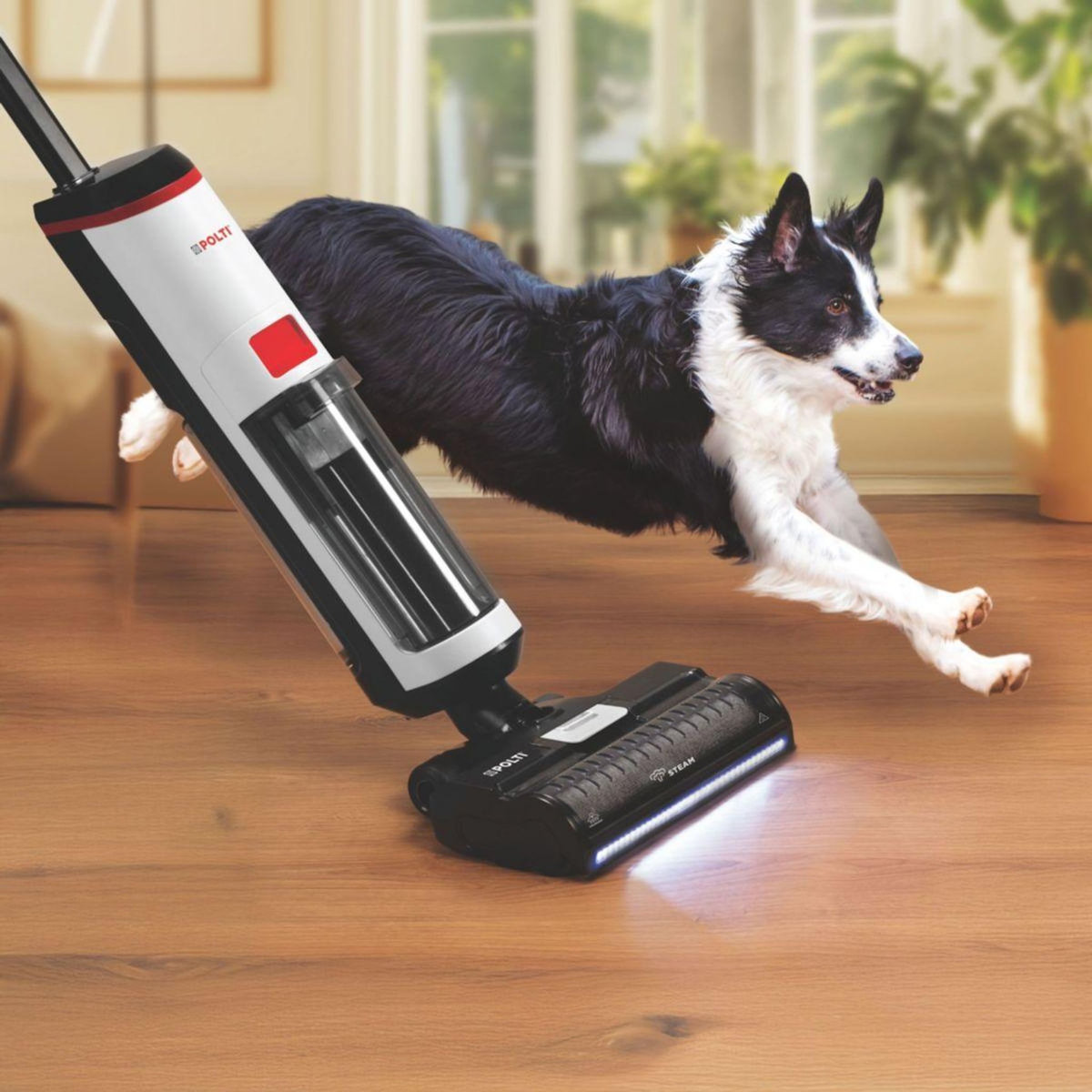 POLTI Aspirateur laveur RollySteam WD10 filaire avec fonction vapeur