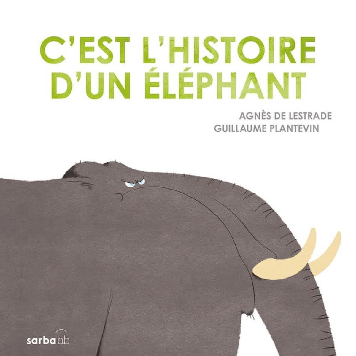 C'EST L'HISTOIRE D'UN ELEPHANT, Lestrade Agnès de