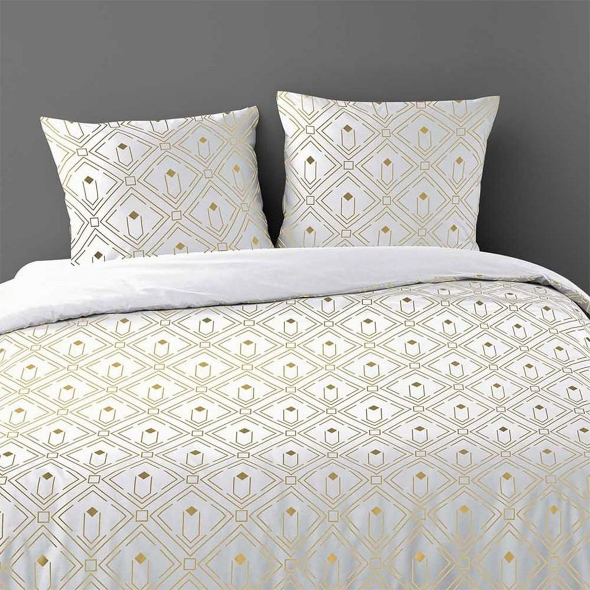 Douceur d'Intérieur Housse de couette 240x220 + 2 taies Izac microfibre