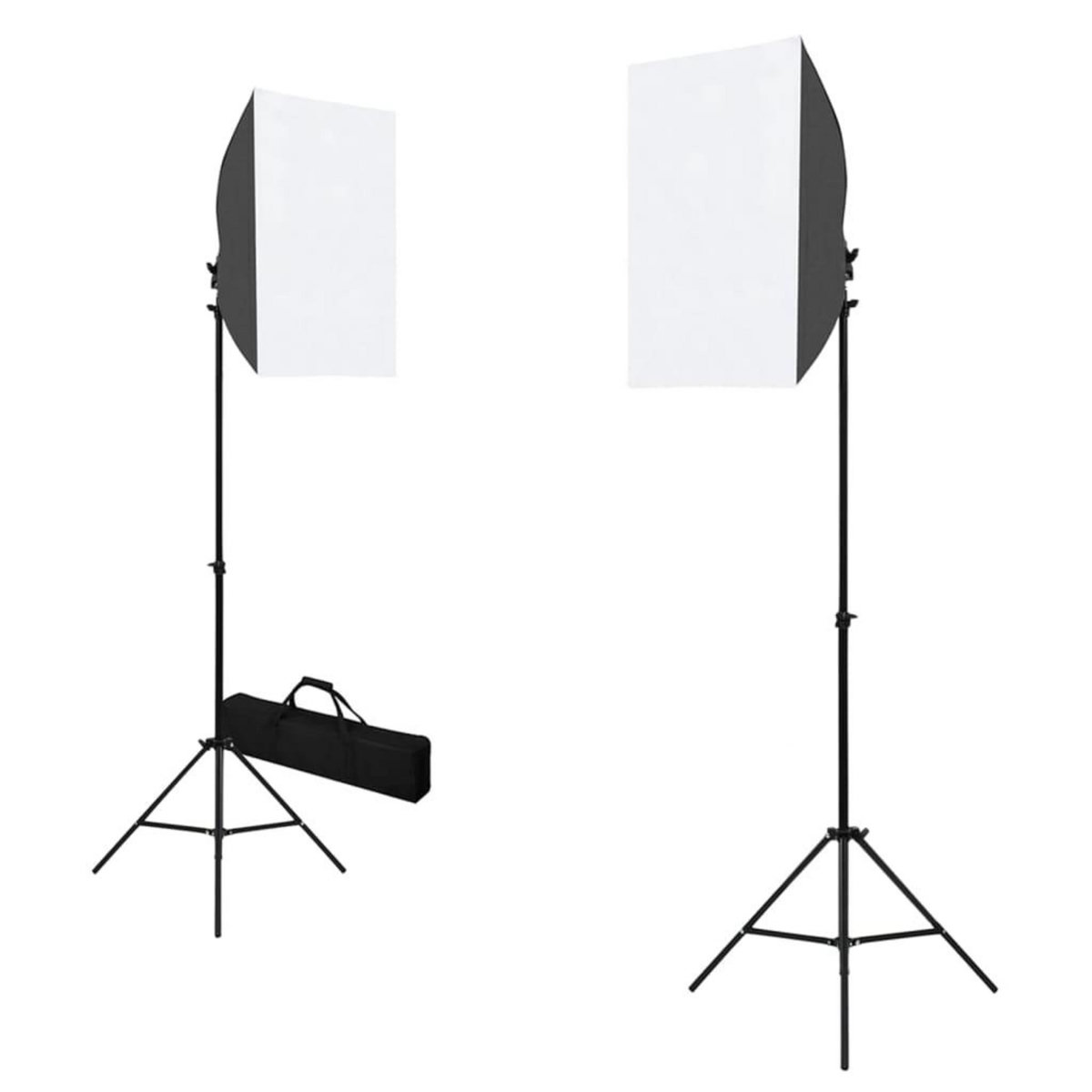 VIDAXL Kit de studio photo avec boîtes a lumiere et toile de fond
