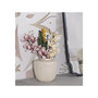 Voir la diapositive 5 : Paris Prix Vase Design  Shade  35cm Crème