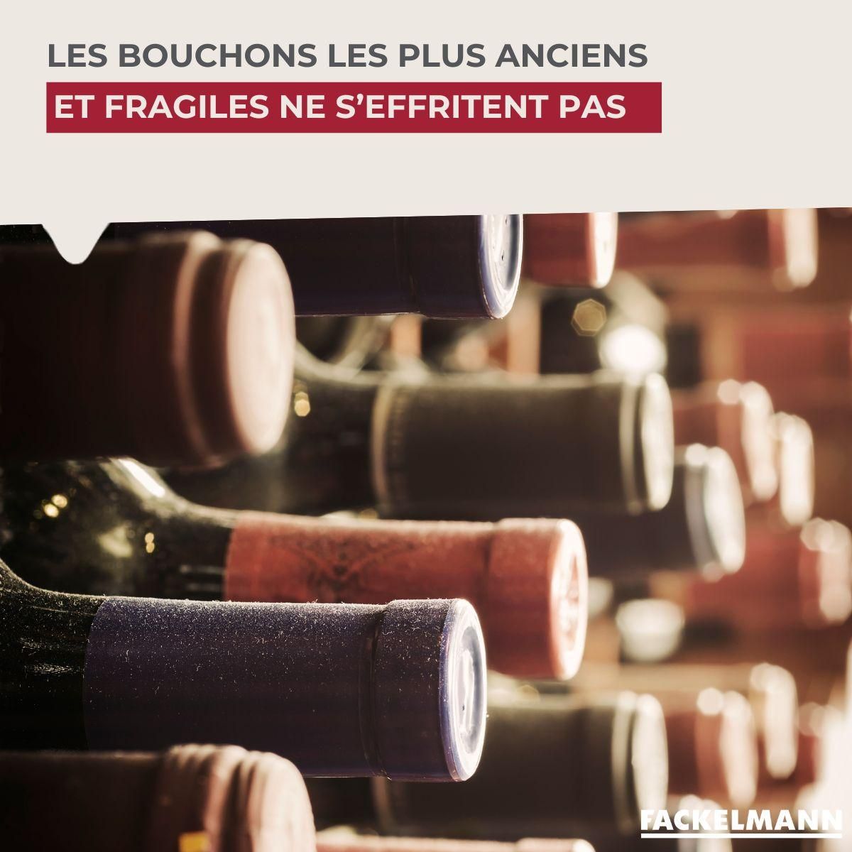 Fackelmann Tire-bouchon à feuille Fackelmann Bar Concept