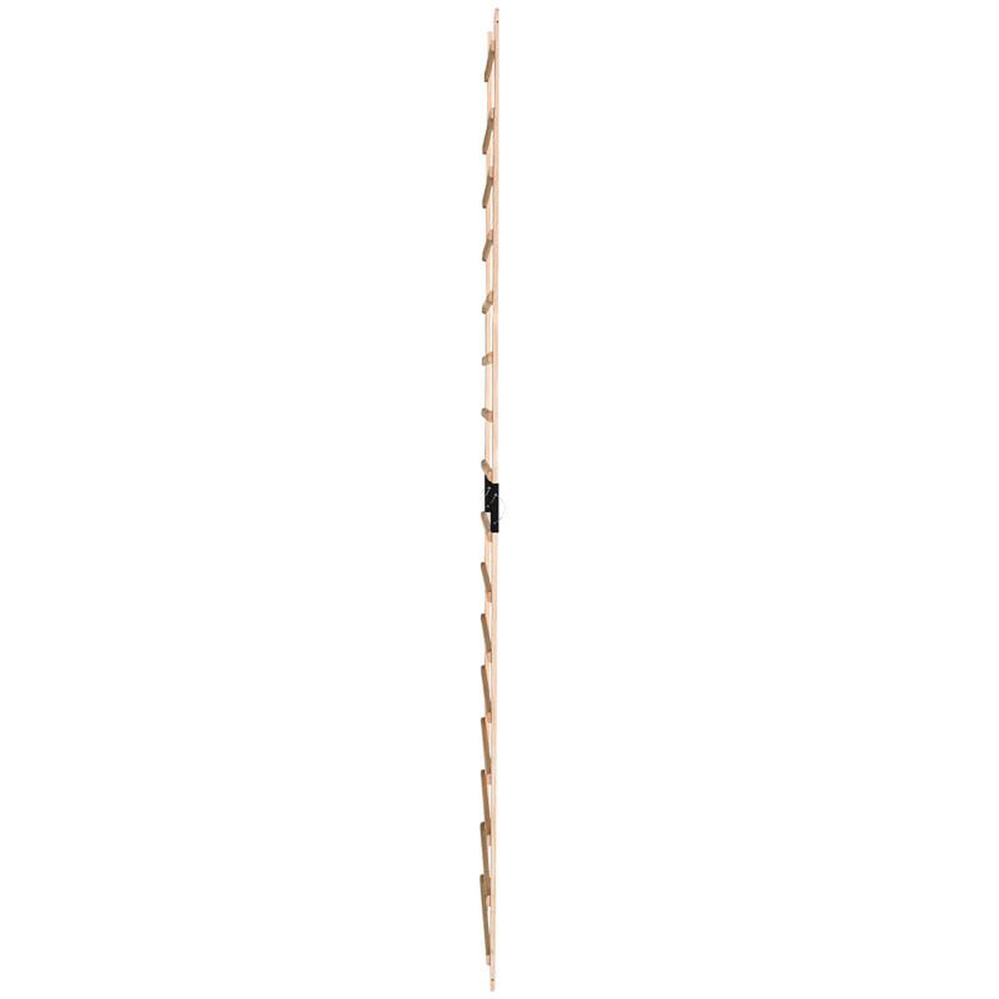 Voir la diapositive 3 : HAILO Echelle plate de toit en bois pour couvreur 5m hailo safety roof