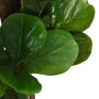 Voir la diapositive 3 : VIDAXL Ficus lyrata artificiel 232 feuilles 180 cm vert