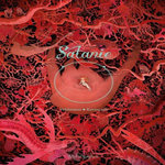 SATANIE, Vehlmann Fabien