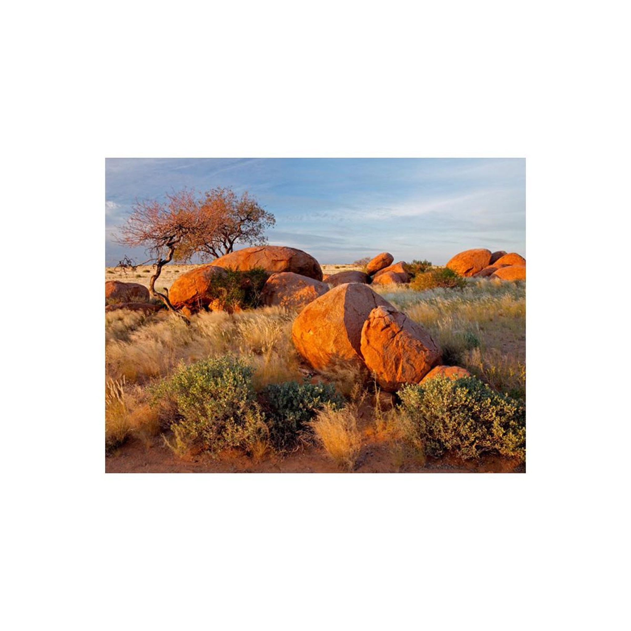 Voir la diapositive 2 : Paris Prix Papier Peint  Paysage Africain, Namibie
