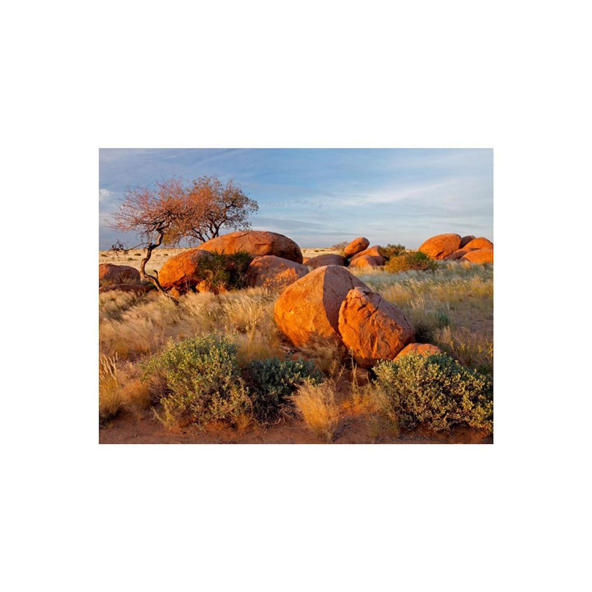 Paris Prix Papier Peint  Paysage Africain, Namibie