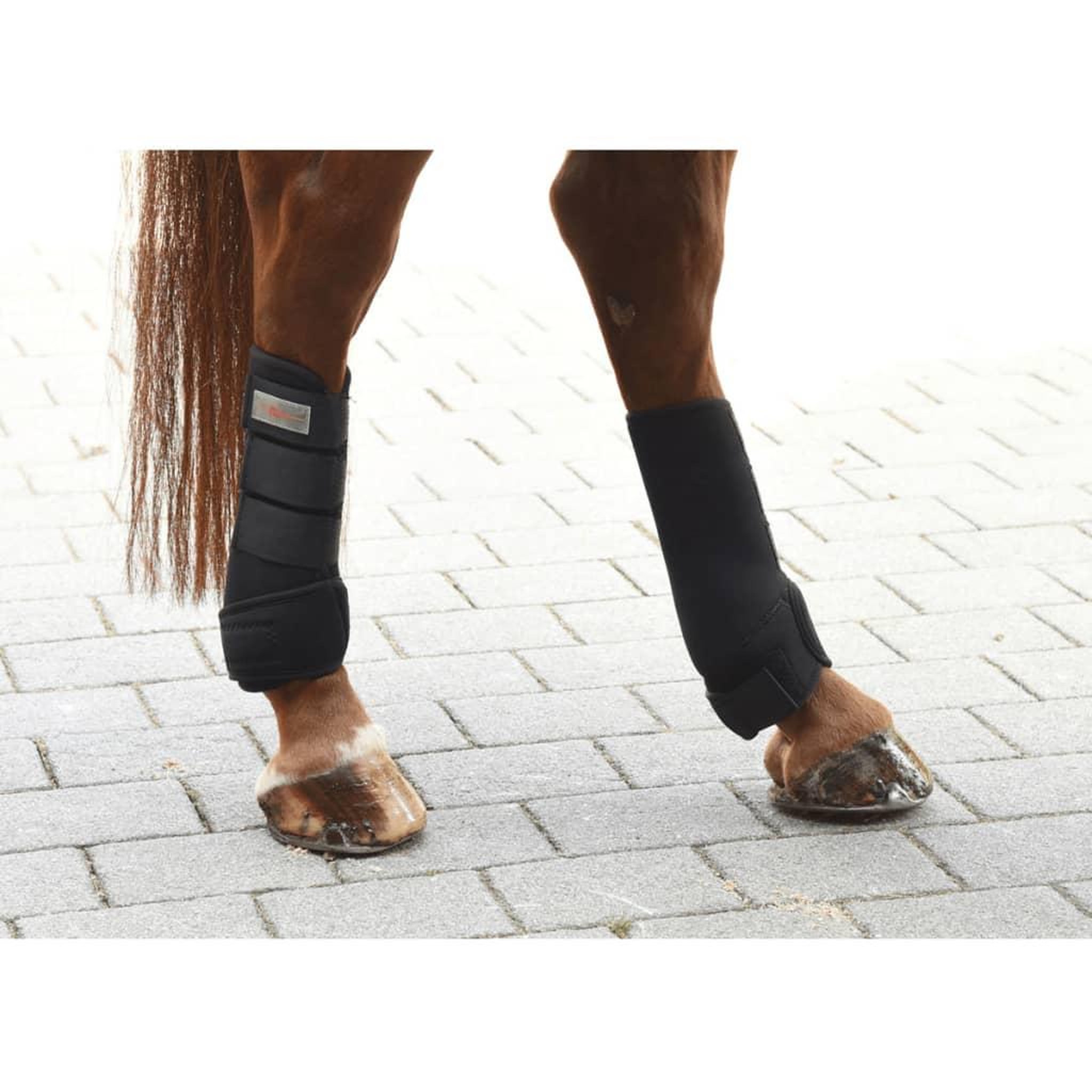 Voir la diapositive 5 : KERBL Kerbl Ensemble de guetres de cheval 4 pcs Complet Noir 320133