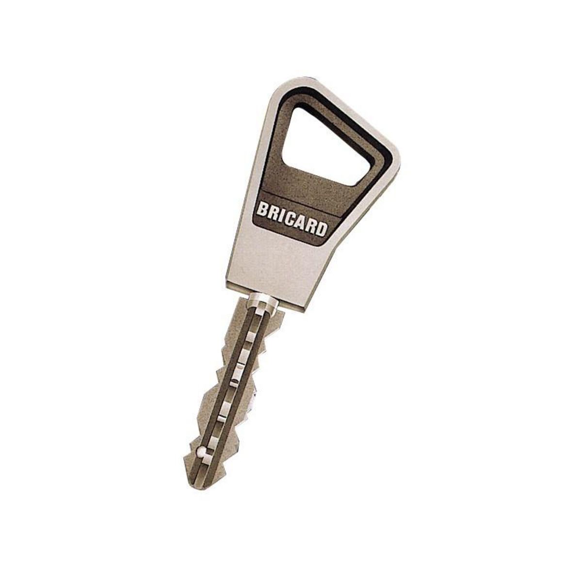 BRICARD Mécanisme 3 points vertical fouillot sans bille blanc droite BRICARD 1101001