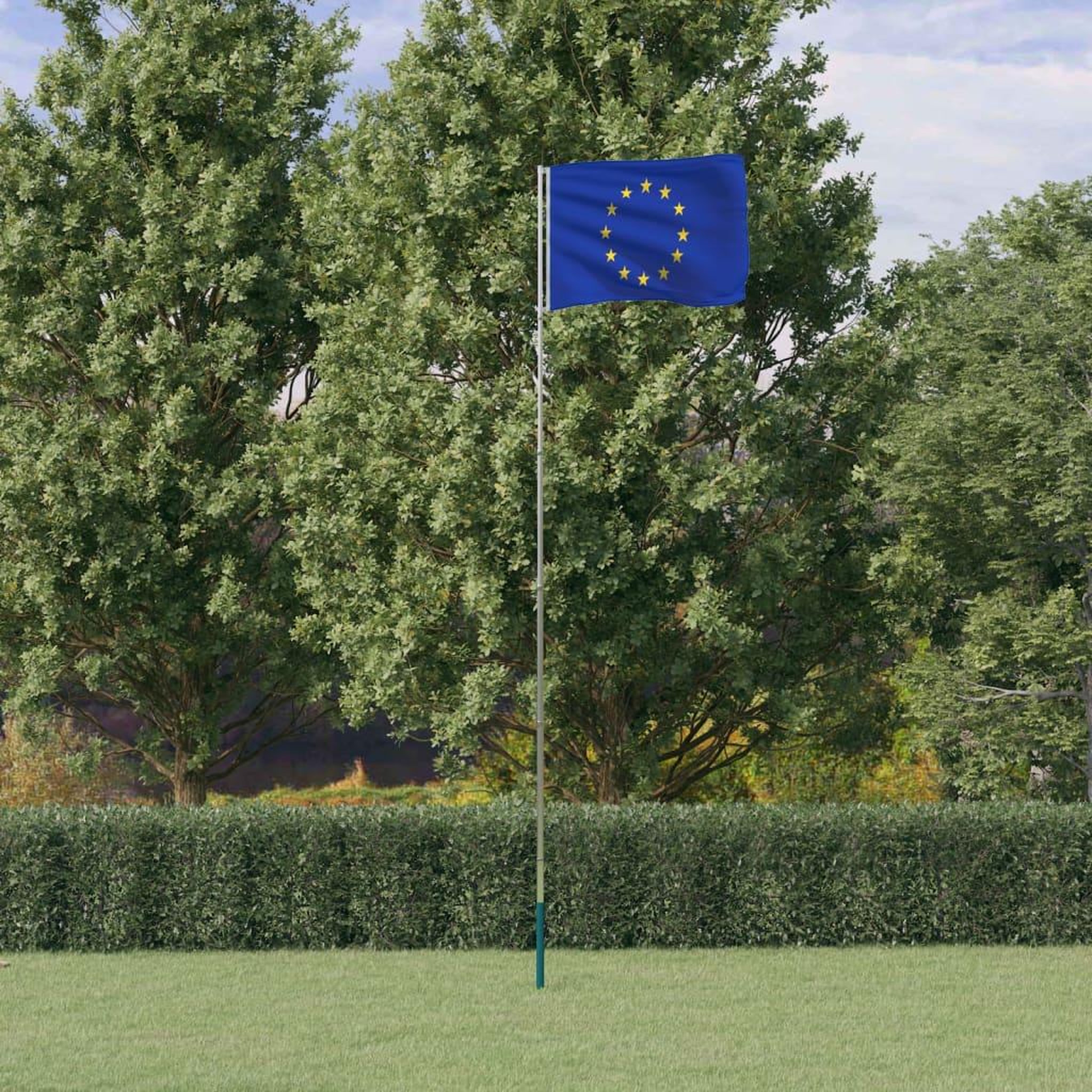 Voir la diapositive 1 : VIDAXL Drapeau de l'Europe et mat 5,55 m Aluminium