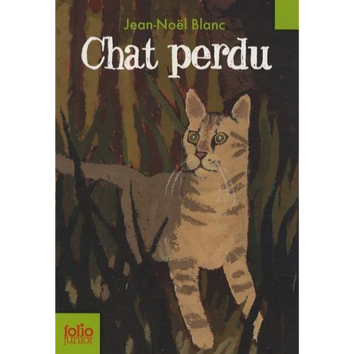 CHAT PERDU, Blanc Jean-Noël