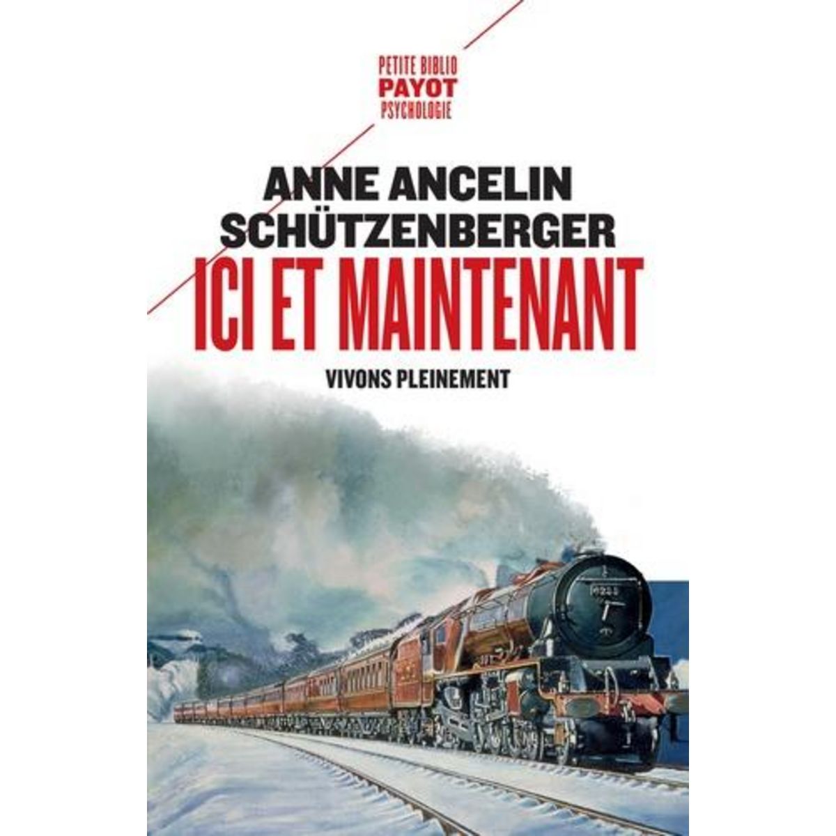 ICI ET MAINTENANT. VIVONS PLEINEMENT, Ancelin Schützenberger Anne