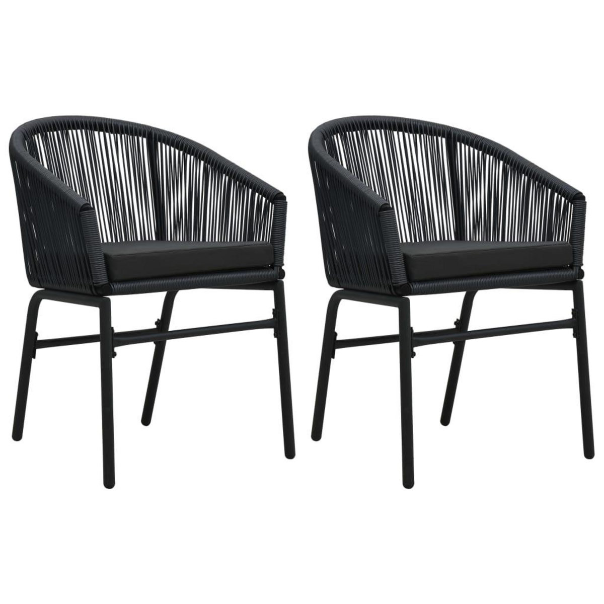 VIDAXL Chaises de jardin lot de 2 Noir Rotin PE