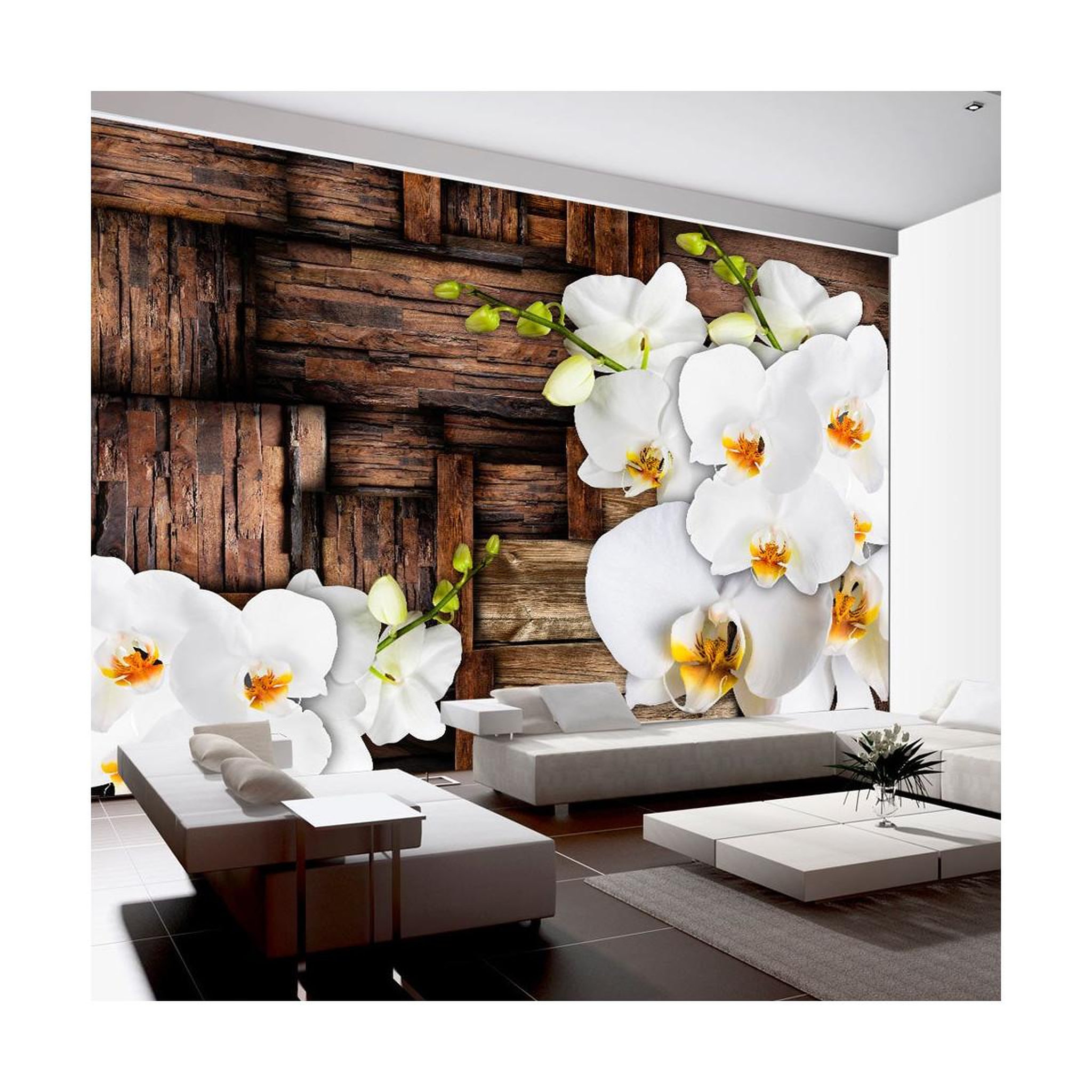 Voir la diapositive 1 : Paris Prix Papier Peint  Blooming Orchids