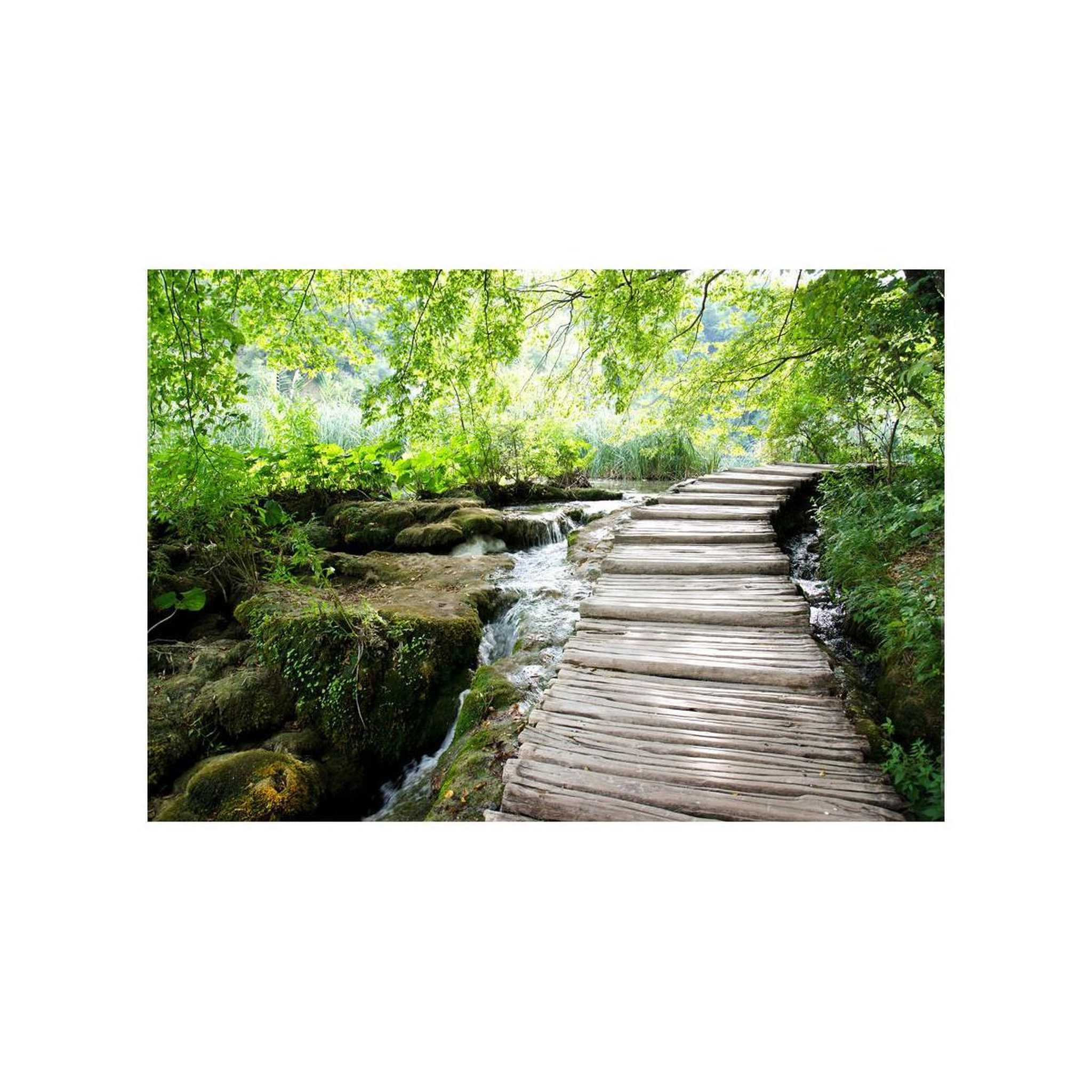 Voir la diapositive 2 : Paris Prix Papier peint  forest path