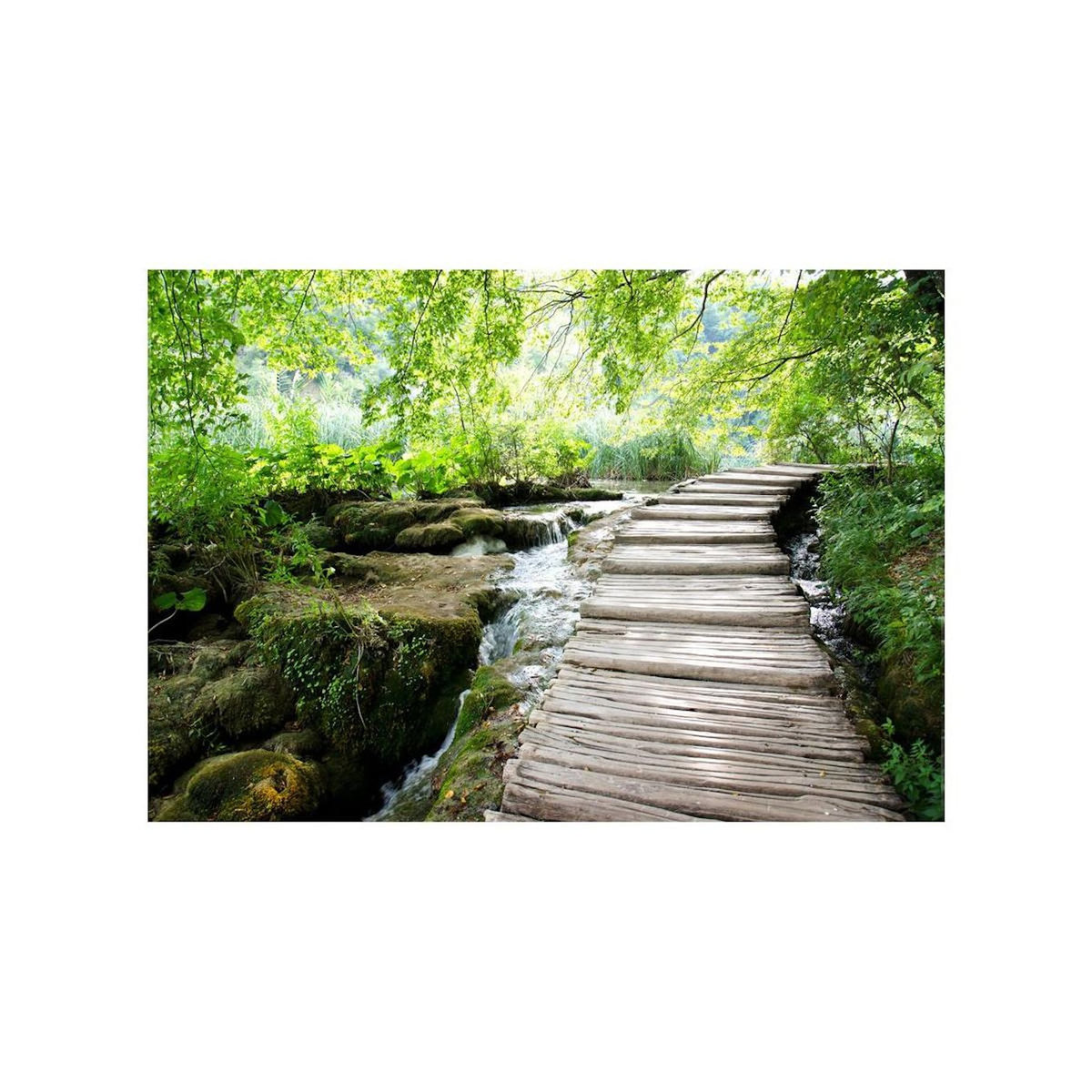 Paris Prix Papier Peint  Forest Path