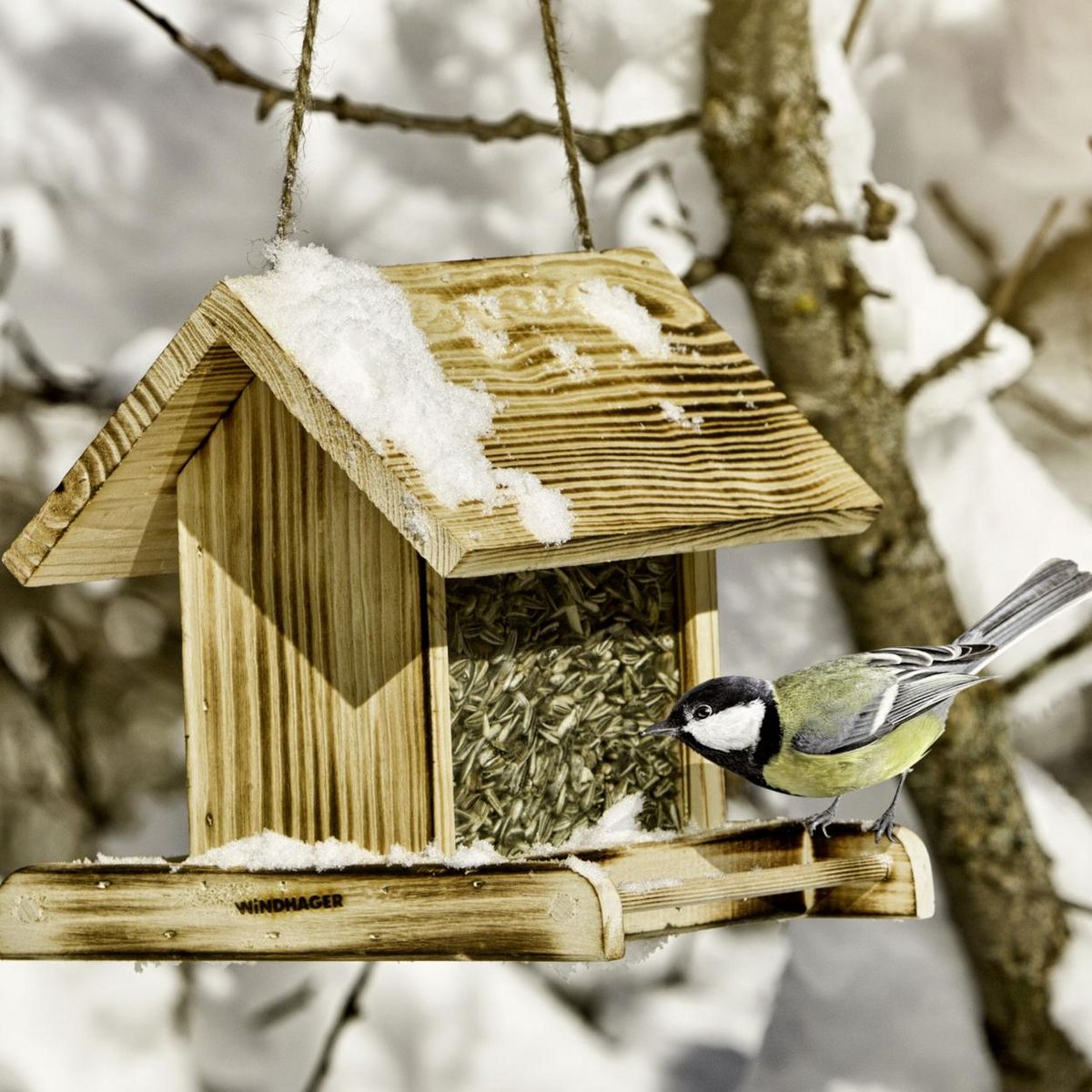 Windhager Mangeoire en bois  22 x 19,5 x 20,5cm