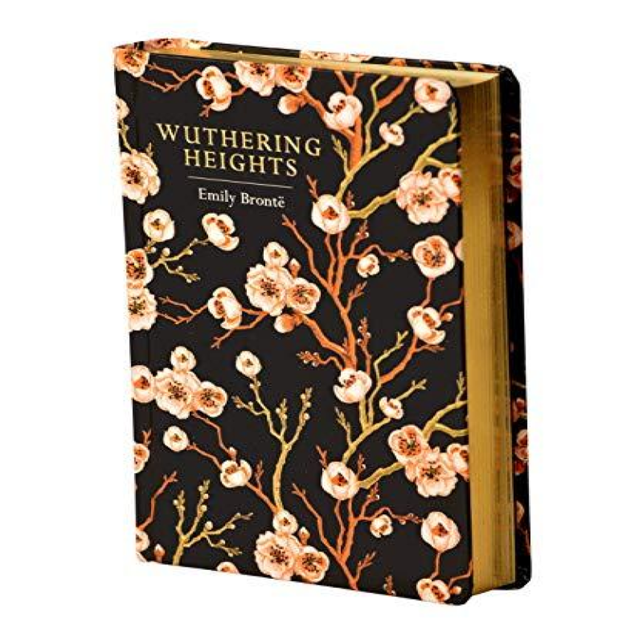 LIVRES Wuthering Heights - Emily Bronte