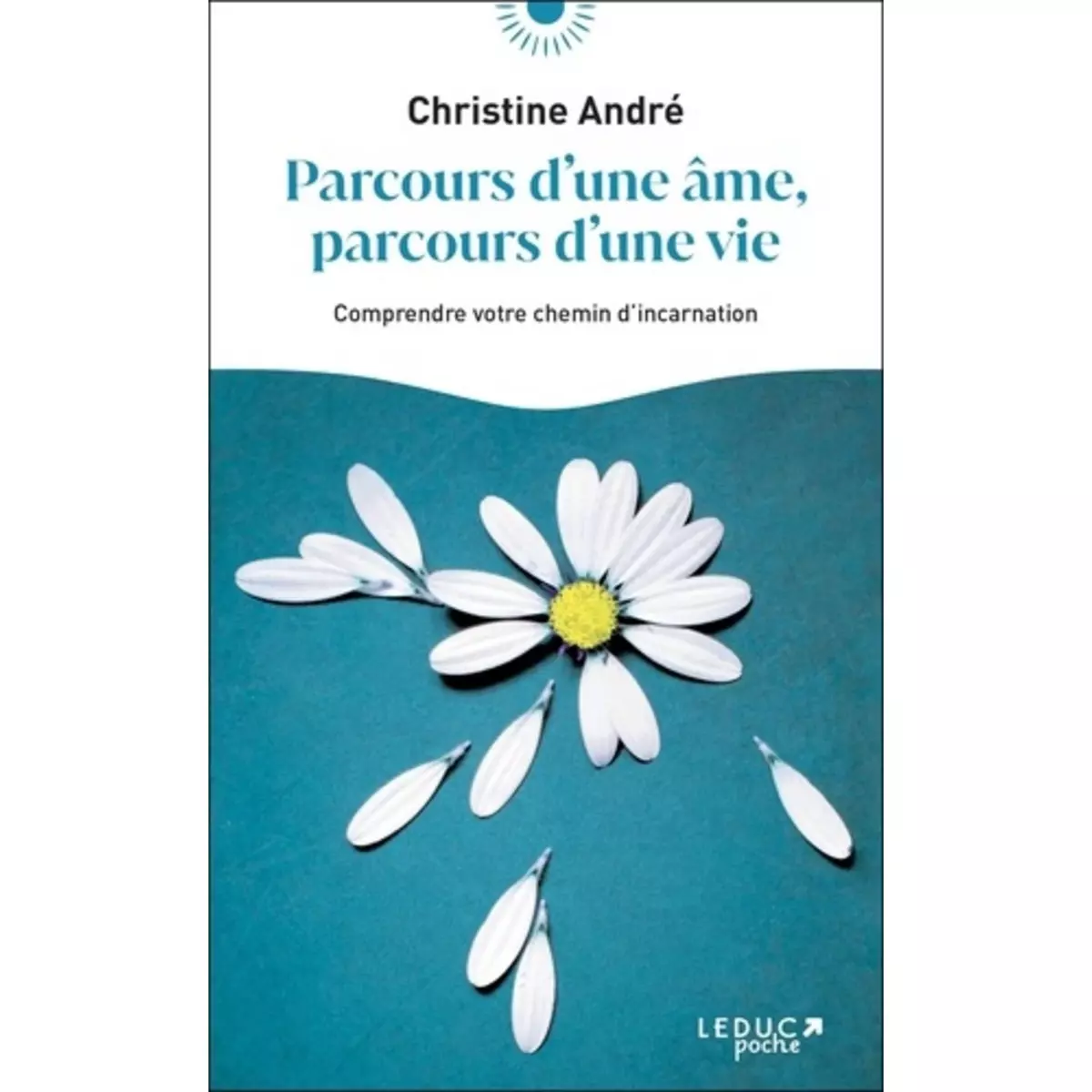  PARCOURS D'UNE AME, PARCOURS D'UNE VIE. COMPRENDRE VOTRE CHEMIN D'INCARNATION, André Christine