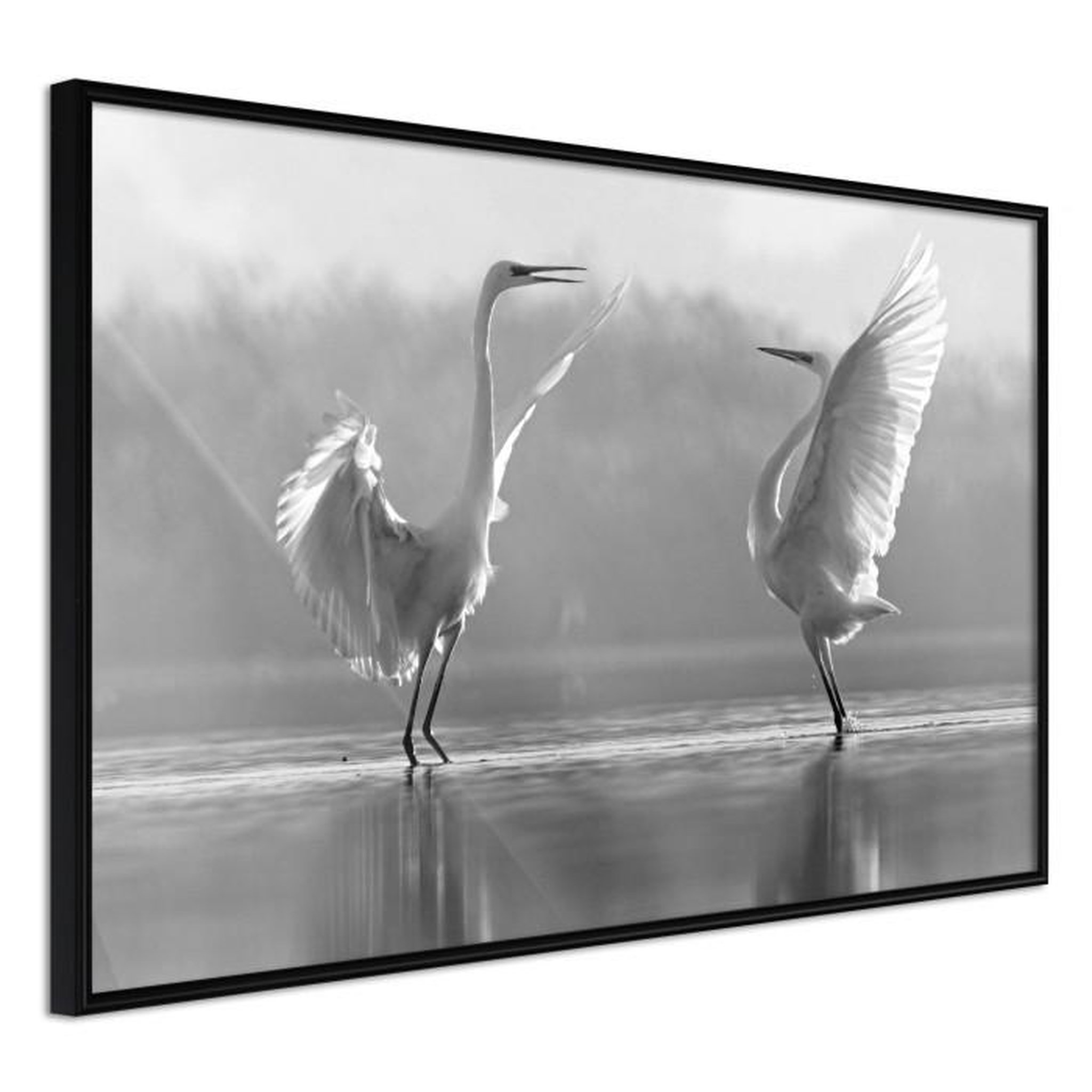 Paris Prix Affiche Murale Encadrée  Black and White Herons. Coloris disponibles : Noir, Jaune