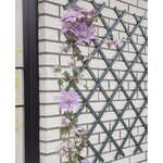 NATURE Nature Treillis de jardin 50x150 cm PVC anthracite