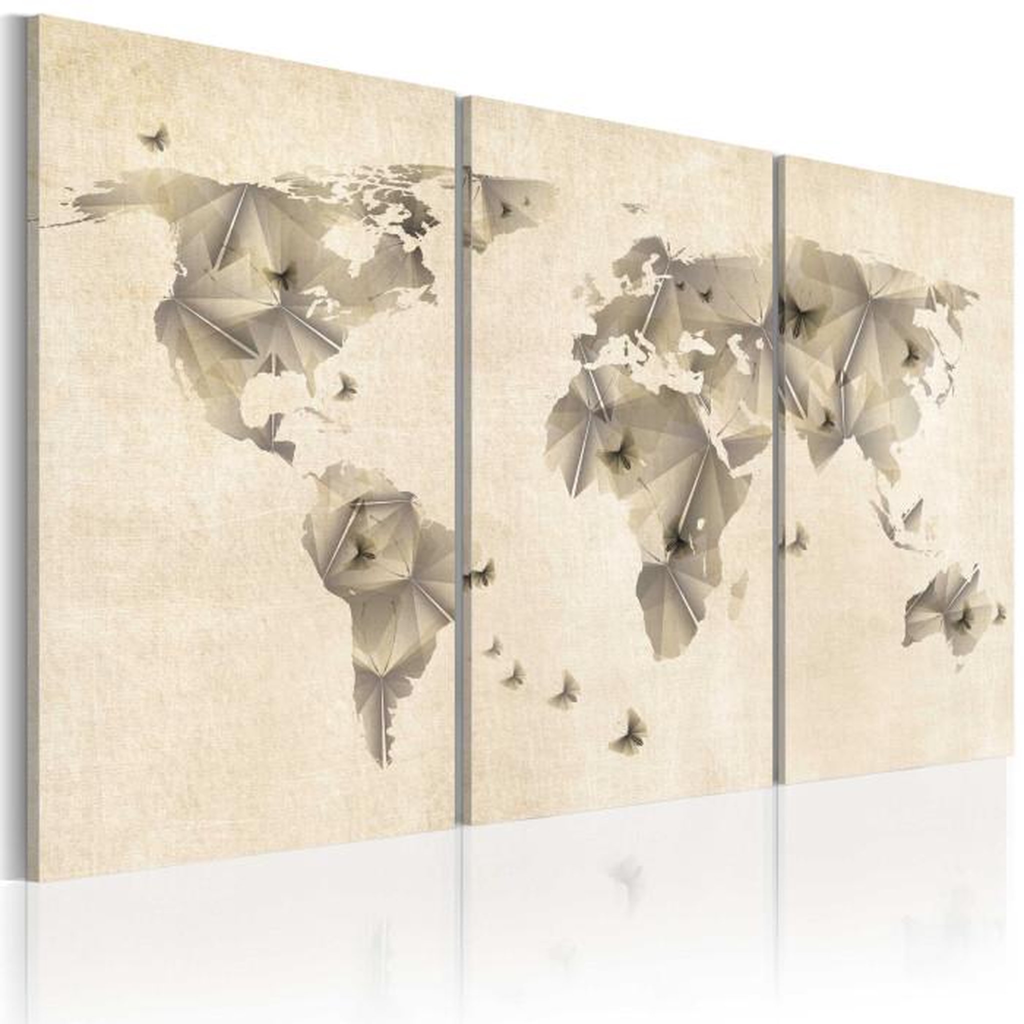 Paris Prix Tableau Imprimé 3 Panneaux  Atlas des Papillons. Coloris disponibles : Multicolore