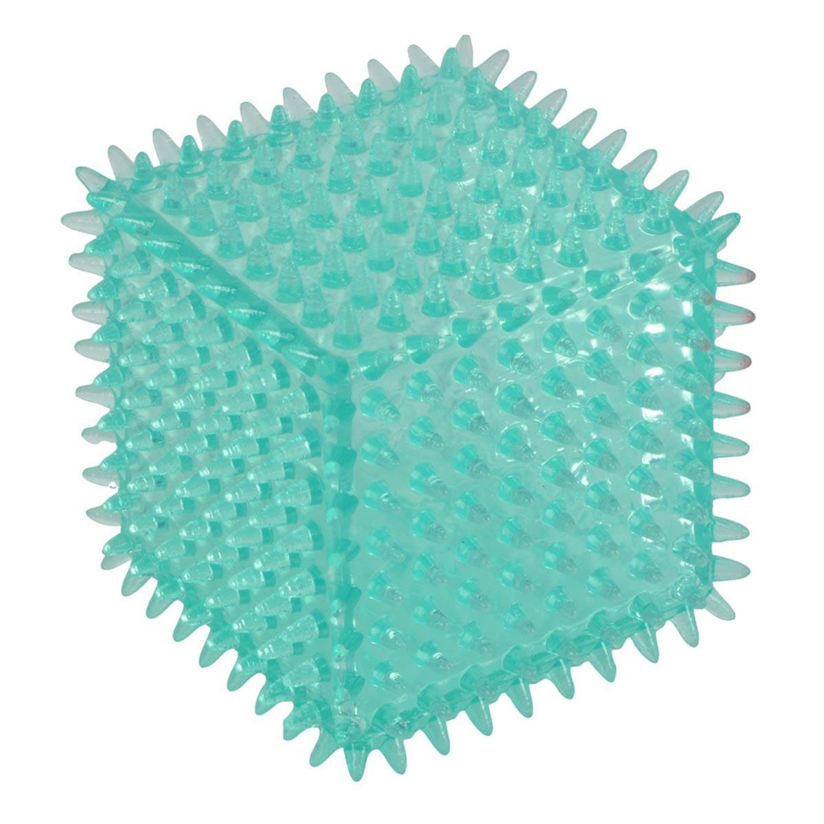 Paris Prix Jouet Dentaire Chien  Cube à Picots  8cm Bleu
