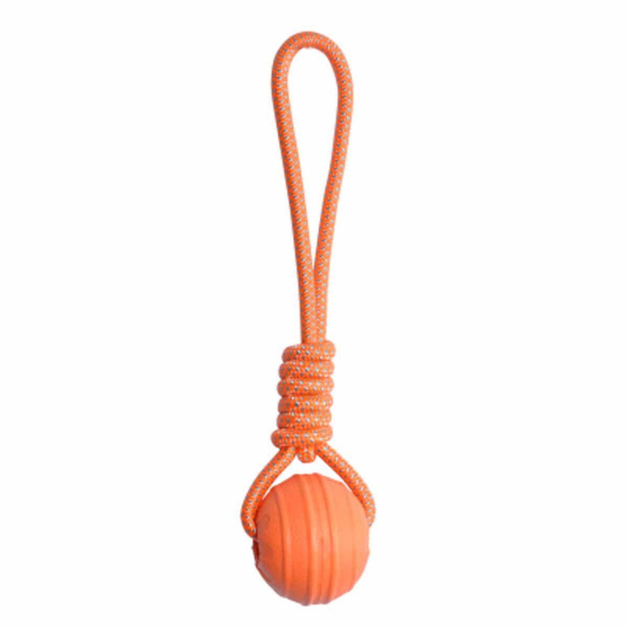 HOMEA Jouet pour chien  balle fitness eva  33cm orange