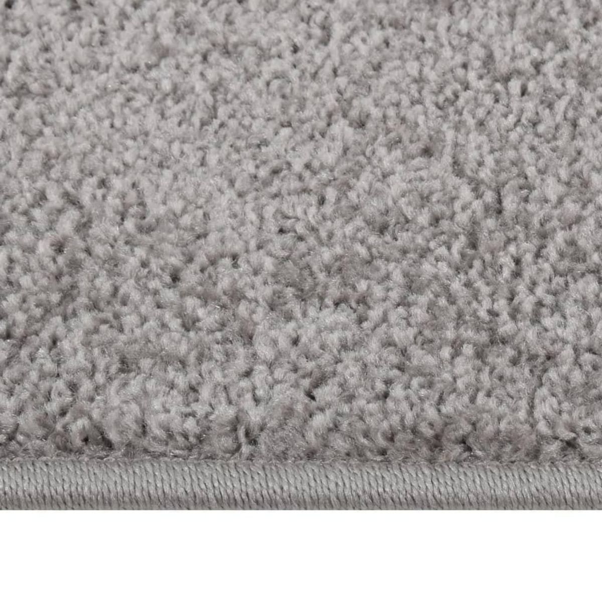VIDAXL Tapis a poils courts 80x150 cm Gris